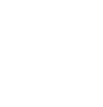 Logo blanc mini