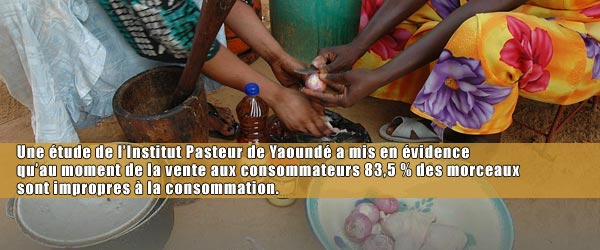 Une étude de l'Institut Pasteur de Yaoundé a mis en évidence qu'au moment de la vente aux consommateurs, 83.5% des morceaux sont impropres à la consommation.