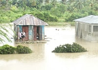 Haïti après le passage de quatre ouragans
