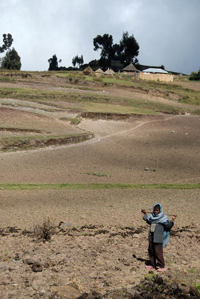 Au milieu des années 1980, le monde entier découvre un pays en proie à des sécheresses persistantes. L’émotion internationale provoquée par les images de la famine est intense. L’Ethiopie devient alors le symbole planétaire de la faim dans le monde.
