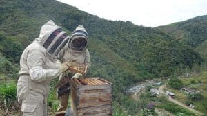 Des apicultrices colombiennes accompagnées par Vamos Mujer © Jean-Claude Gerez/CCFD-Terre Solidaire