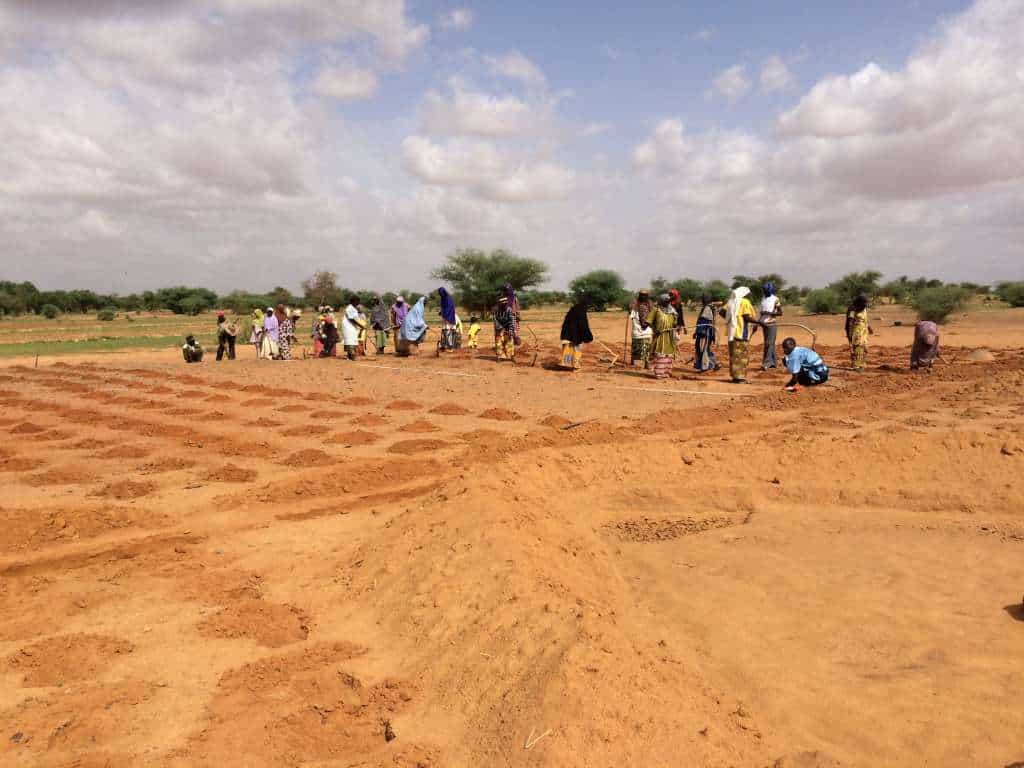 agroécologie en Afrique