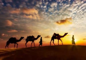 fotolia_87137024_subscription_monthly_m.jpg