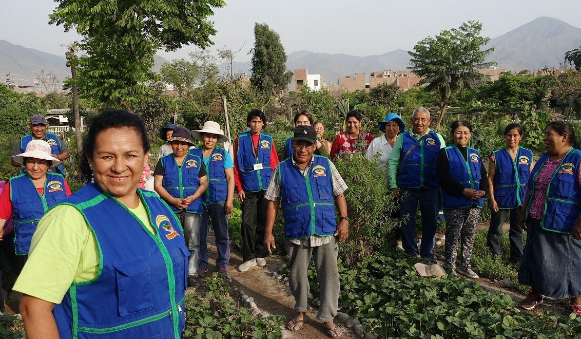 Nés en 2012, les jardins bio « Mana » y « Mi Hermosa Huerta » rassemblent aujourd’hui 51 membres. Ces habitants ou anciens habitants du quartier sont majoritairement des personnes originaires des plateaux andins et des régions côtières. L’association est présidée depuis sa création par Lidia Bazán Hernandez (au 1er plan).