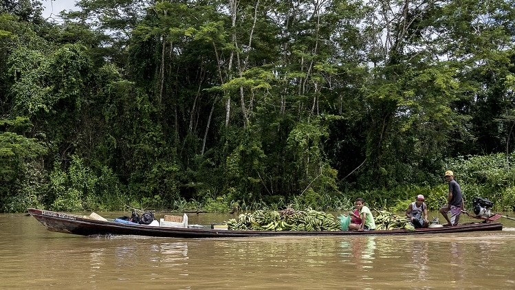 Dans cette région isolée de l'Amazonie les déplacements et les contacts avec l'extérieur se font en pirogue. © Eric Garault/CCFD-Terre Solidaire