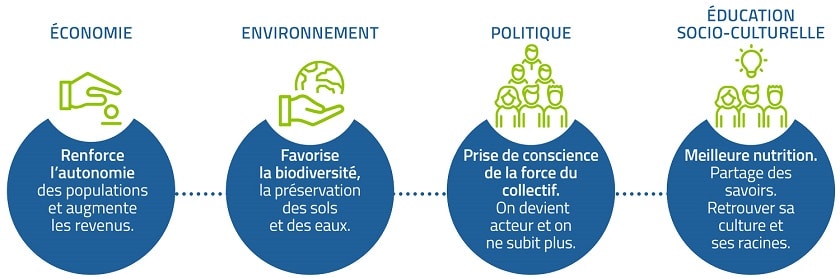 agroecologie-systeme-infographie.jpg