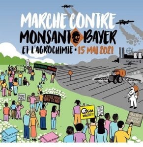 marche_mosento-2.jpg