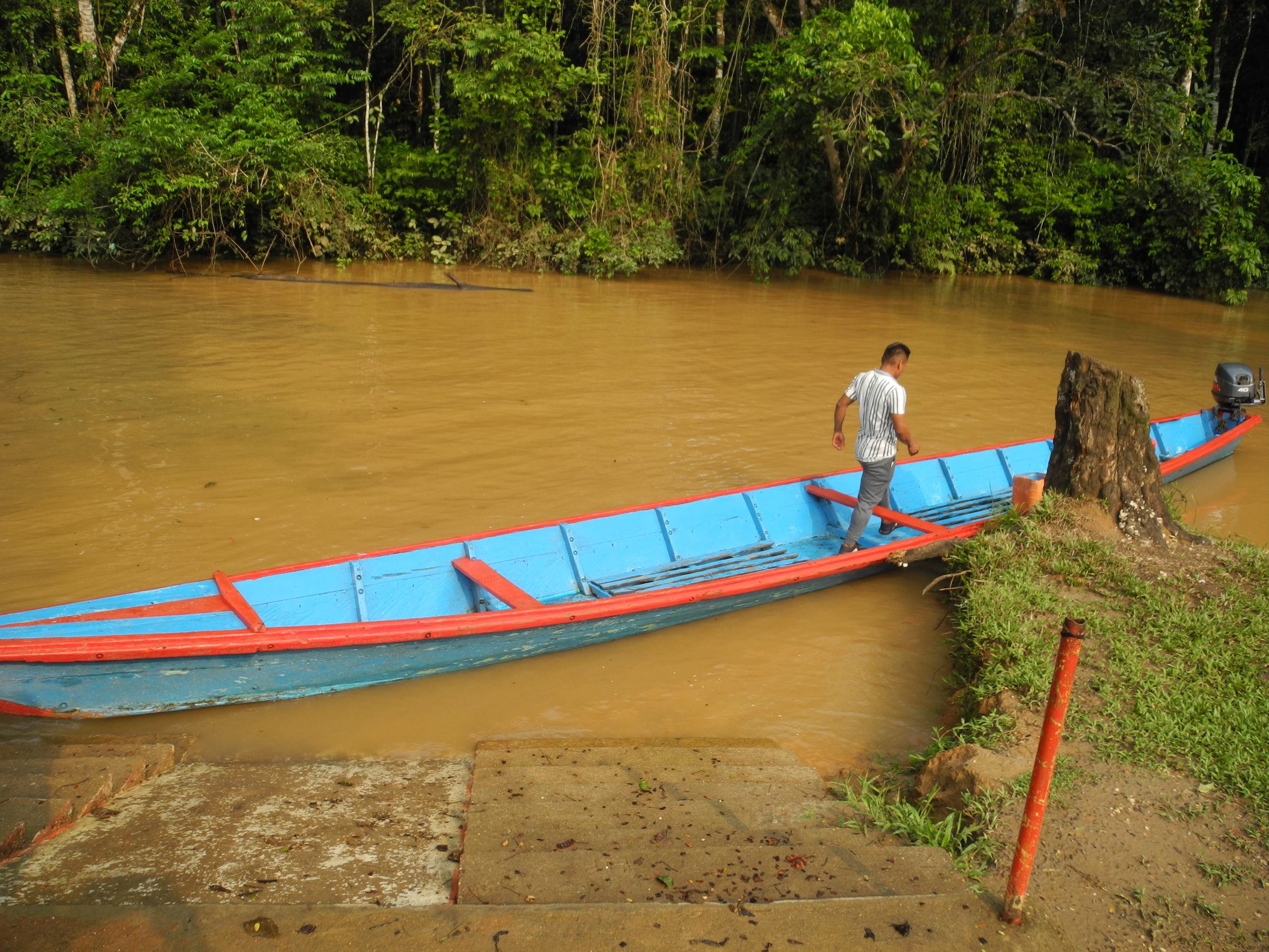 En Colombie : protéger les communautés d’Amazonie de la compensation carbone