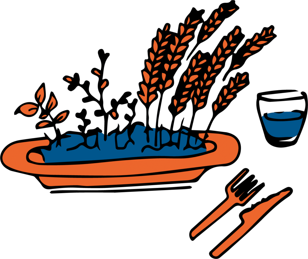 Dessin d'une assiette contenant un champs de blé et des pousses de plantes (TAPSA)