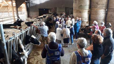 Visite à la ferme 29