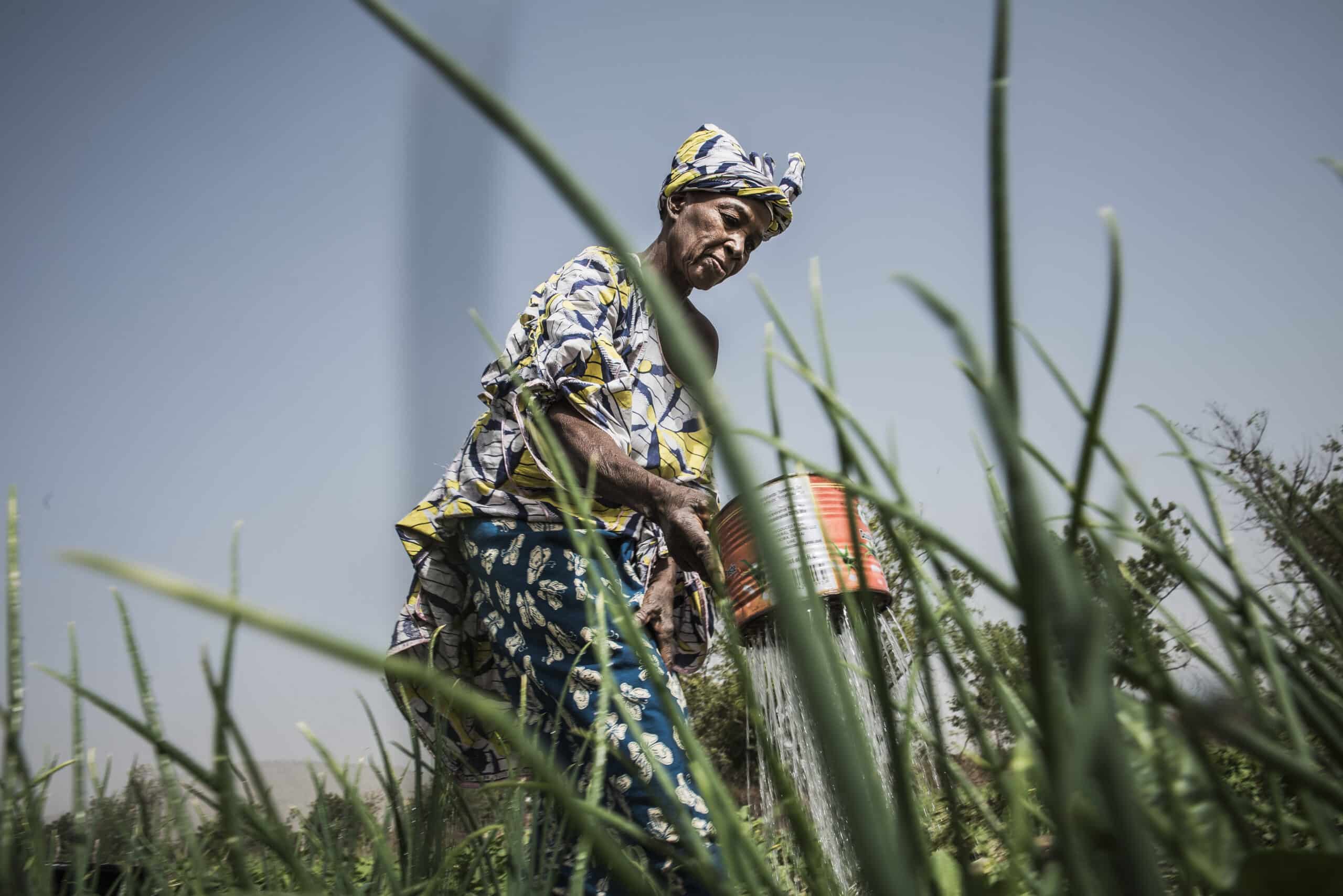 Femme pratiquant l'agroécologie au Mali avec le réseau d'horticulteurs de Kayes (RHK)© William Dupuy