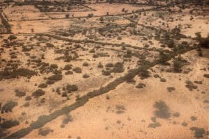 Les conséquences du réchauffement climatique