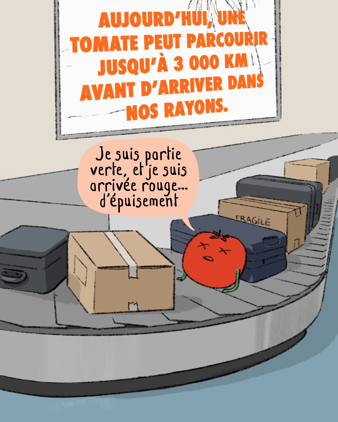 observatoire-de-la-souverainet-alimentaire-la-france-table-le-sud