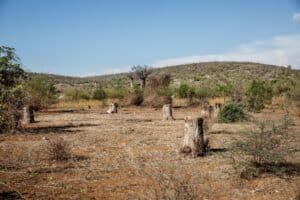 Prise à Madagascar, cette photo montre des indices de sécheresse et de déforestation. L'Accord de Paris vise à lutter contre le réchauffement climatique.