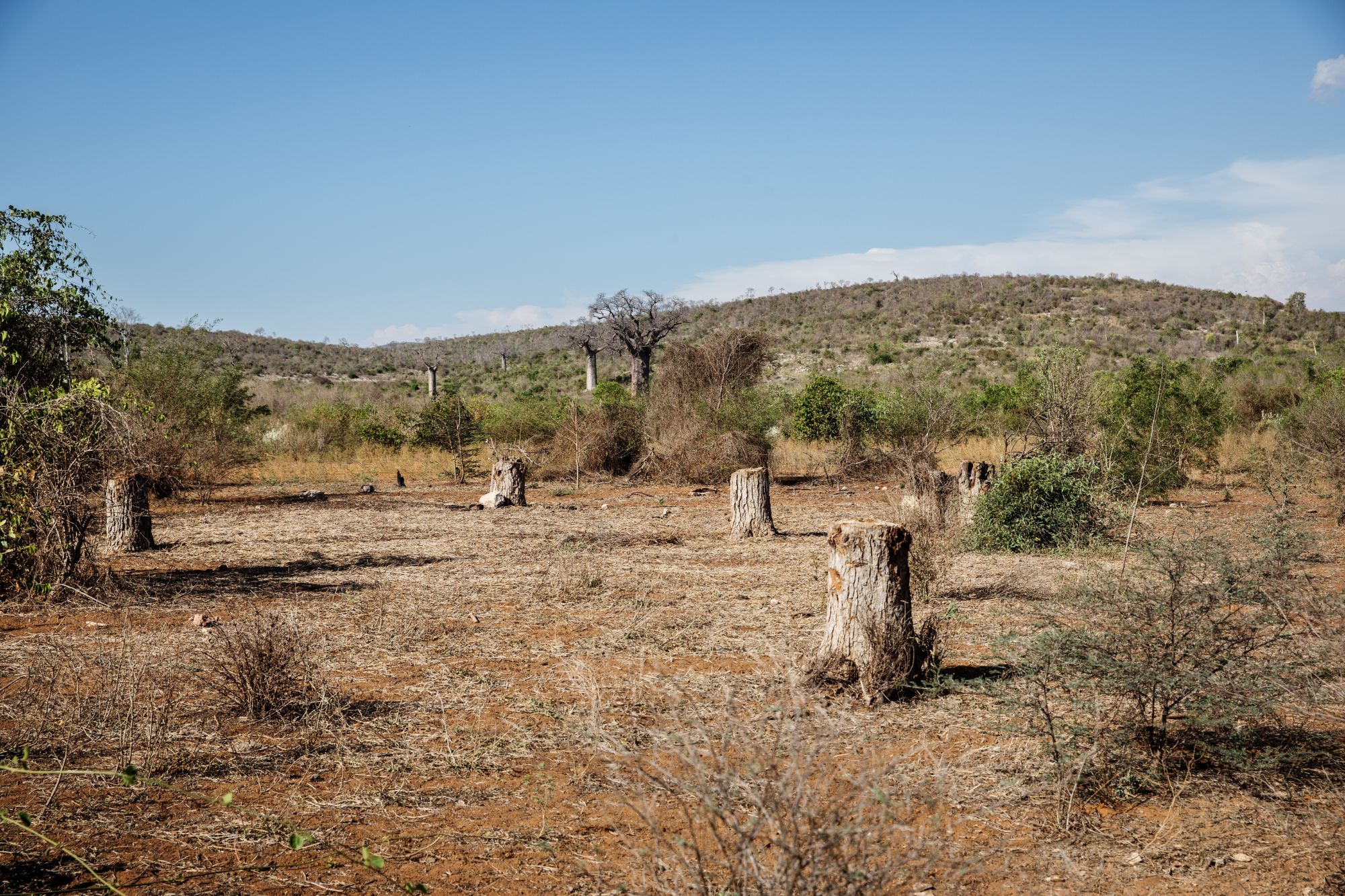 Prise à Madagascar, cette photo montre des indices de sécheresse et de déforestation. L'Accord de Paris vise à lutter contre le réchauffement climatique.